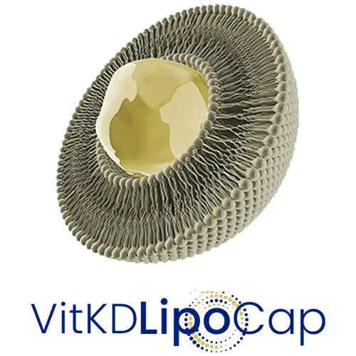VitKDLipoCap (as Vitamin K2 and D3)