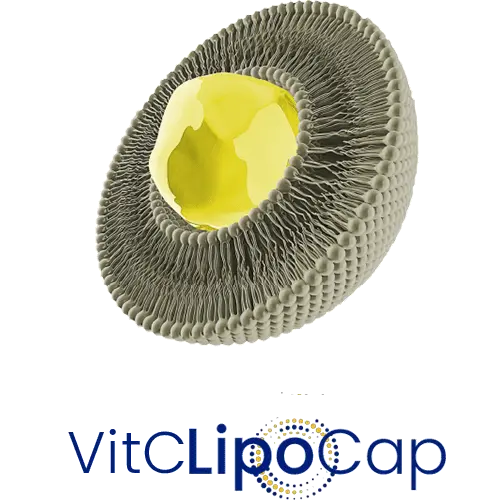 VitCLipoCap (Ascorbic Acid)